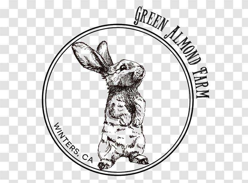 Easter Royalty-free - Rabits And Hares - Green Farm Transparent PNG