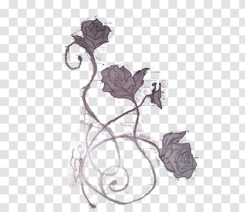 Garden Roses Tattoo Sketch - Flowering Plant Transparent PNG
