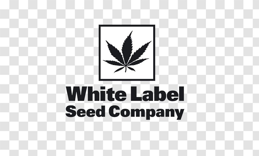 Autoflowering Cannabis White Widow Seed Bank Skunk Transparent PNG