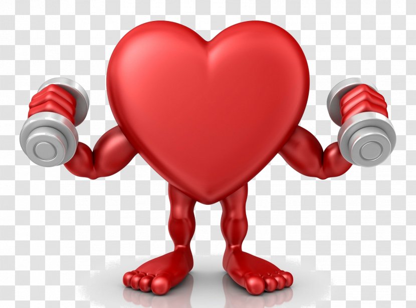 Cardiopulmonary Rehabilitation Heart Cardiology Physical Medicine And Cardiovascular Disease - Frame Transparent PNG