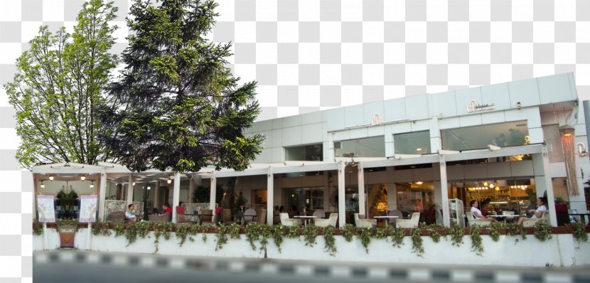 Templos Akpinar Patisserie Cafe Pâtisserie Restaurant - Tree - Pastane Transparent PNG