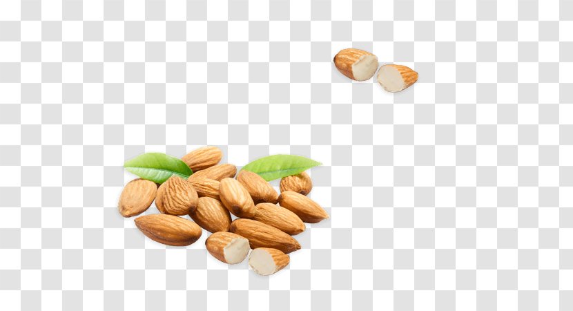Almond Food Nut Ingredient Cashew - Nuts Seeds - Orris Root Botanicals Transparent PNG