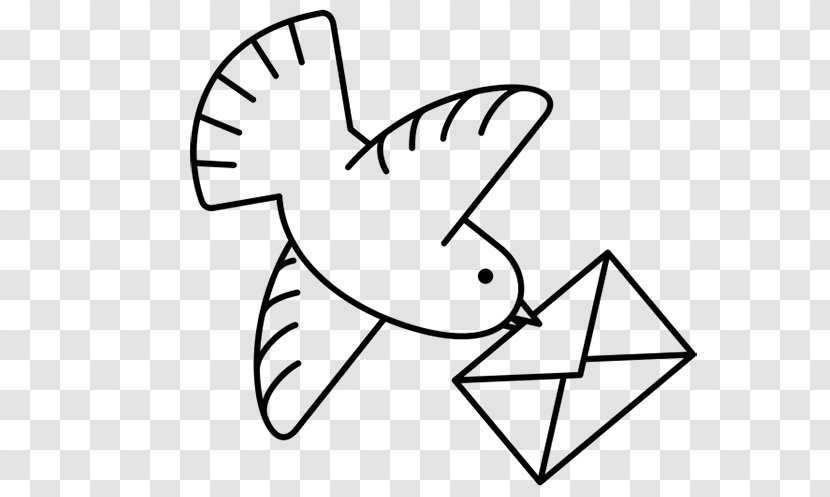 Homing Pigeon Rock Dove Drawing Coloring Book Bird - Flower Transparent PNG