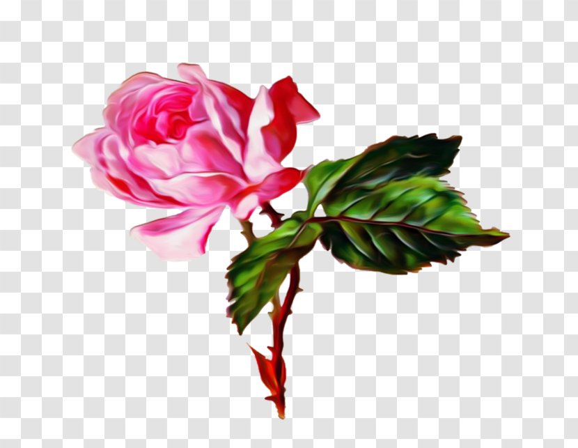 Flower Bouquet Garden Roses Gfycat - Pink Transparent PNG