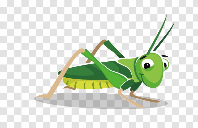 Grasshopper Cartoon Clip Art - Invertebrate - Vector Material Cute Transparent PNG