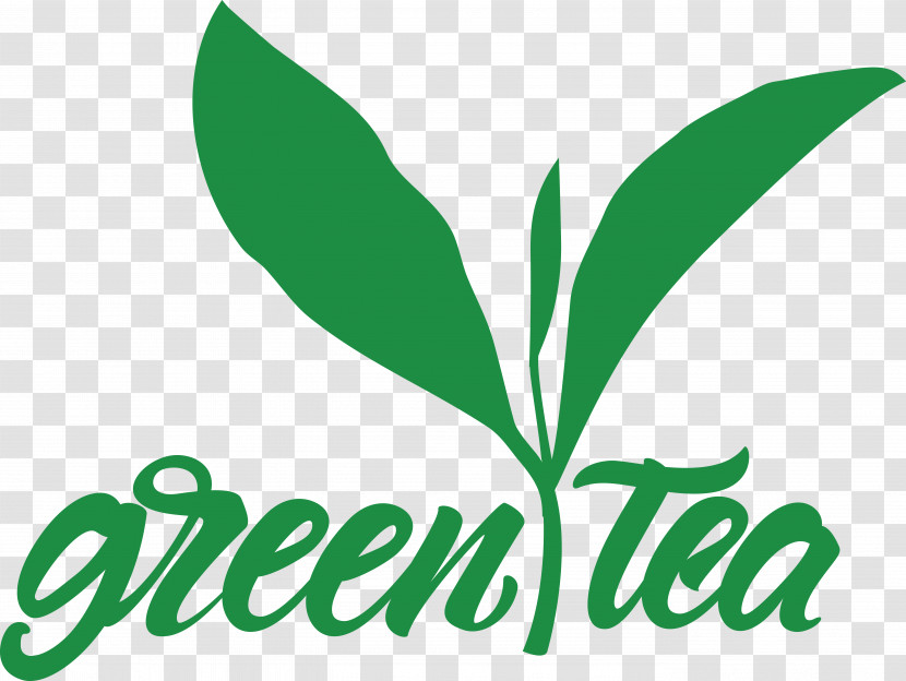 Leaf Plant Stem Logo Line Tree Transparent PNG