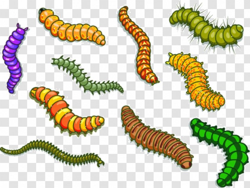 Worm Cartoon Royalty-free Illustration - Illustrator - Insect Material Transparent PNG