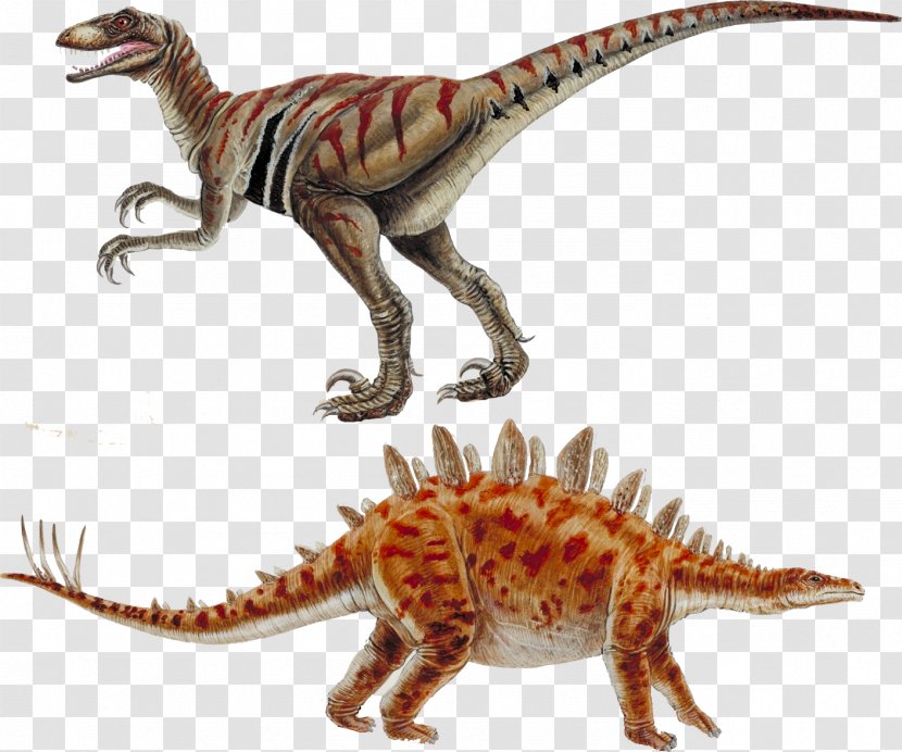 Dinosaur Deinonychus Velociraptor Stegosaurus Allosaurus - Cretaceous Transparent PNG