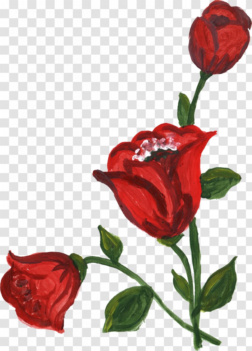 Flower Rose Clip Art - Herbaceous Plant - Corner Transparent PNG