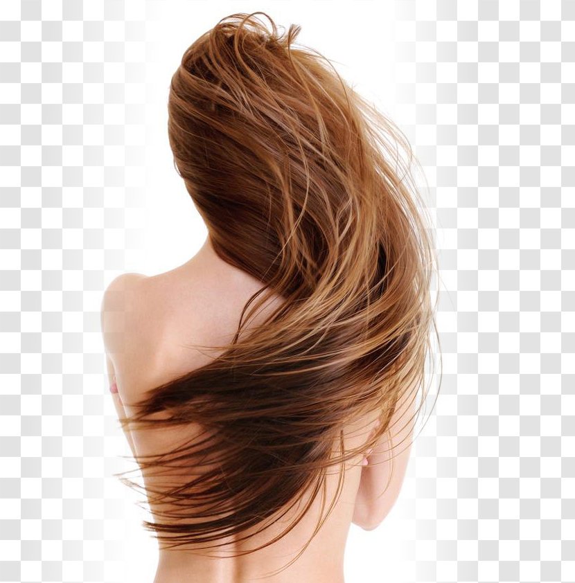 Human Hair Growth Loss Care Artificial Integrations - Caramel Color Transparent PNG