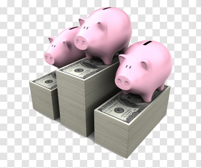 Domestic Pig Bank Money Deposit Account Illustration - Piggy And Cash Transparent PNG