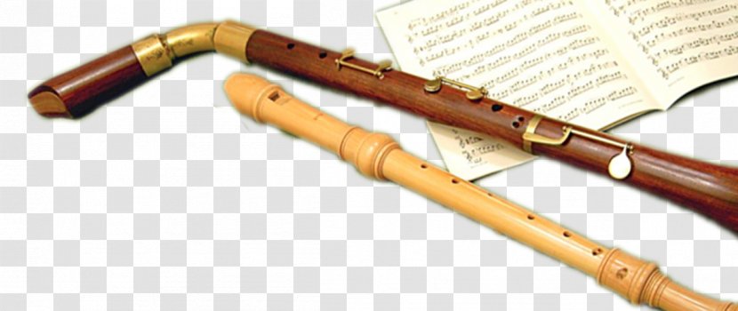 Clarinet Family Flute Recorder Flageolet Piccolo - Tropical Woody Bamboos - Flauta Transparent PNG