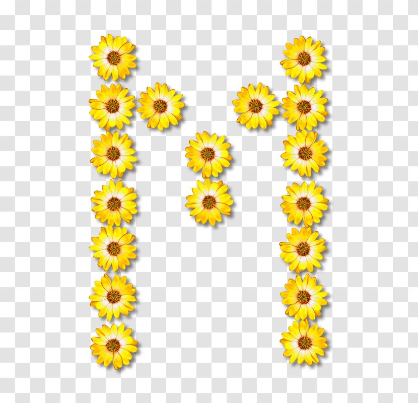 Common Sunflower Floral Design - Plant - Flower Transparent PNG
