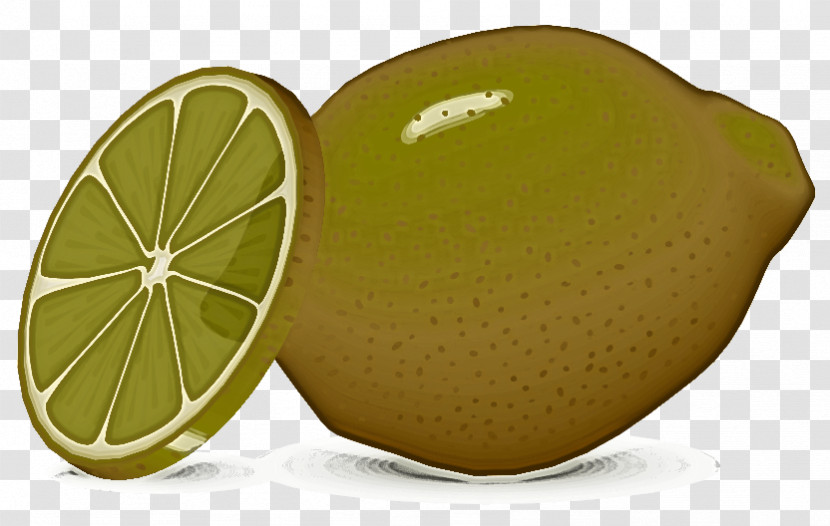 Citrus Fruit Persian Lime Lemon Lime Transparent PNG