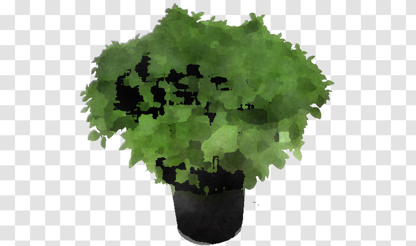 Leaf Leaf Vegetable Herb Flowerpot Tree Transparent PNG