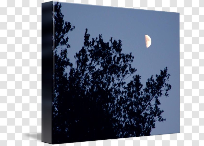 Desktop Wallpaper Computer Moon Sky Plc - Half Transparent PNG
