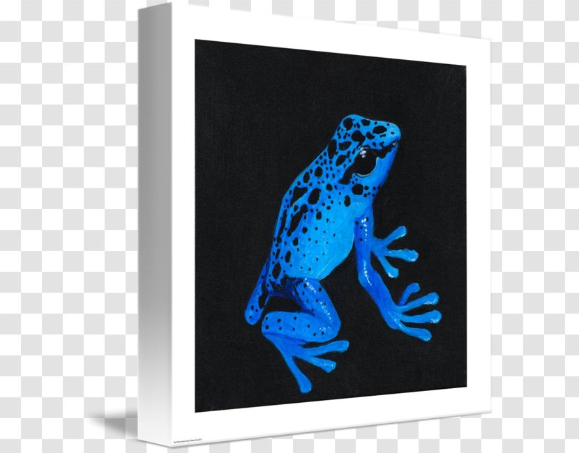 Tree Frog Cobalt Blue Picture Frames - Electric - Poison Dart Transparent PNG