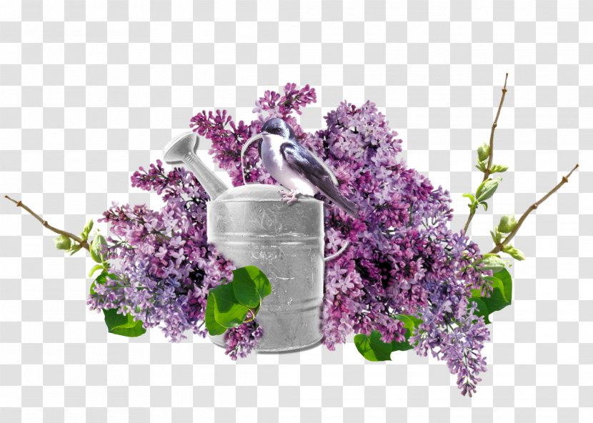 Flower Photography Clip Art - Floral Design - Lilac Transparent PNG