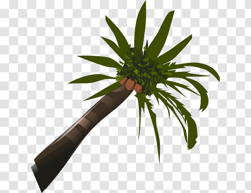 Arecaceae Coconut Clip Art - Plant Stem - Transparent Cartoon Palm Tree Transparent PNG