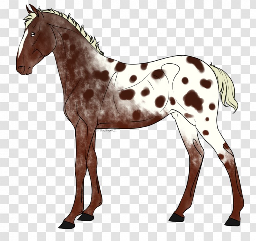 Foal Stallion Mare Mustang Colt - Pre-sale Transparent PNG