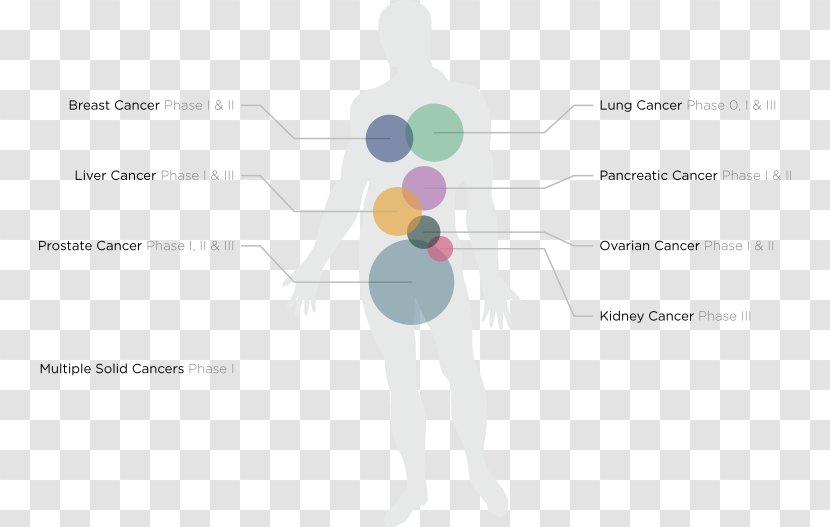 Graphic Design Brand Diagram - Flower Transparent PNG