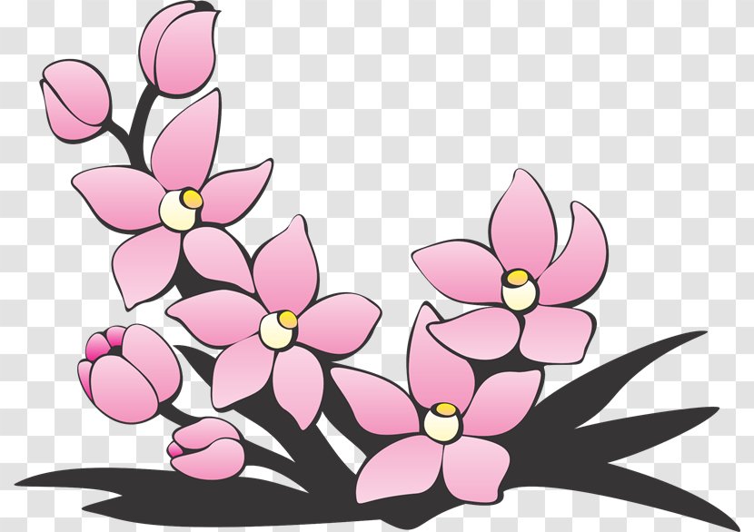 Floral Design Flower Blog - Pink - 36 Transparent PNG