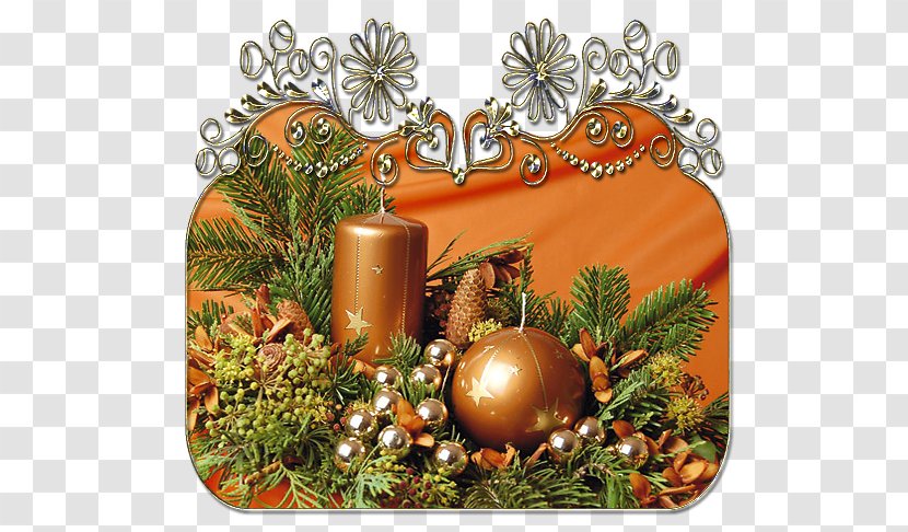 Christmas Ornament Pine Pinaceae Transparent PNG