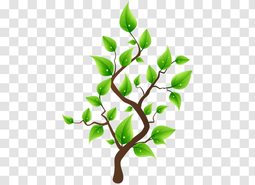 Tree Planting Flowerpot Clip Art - Twig Transparent PNG