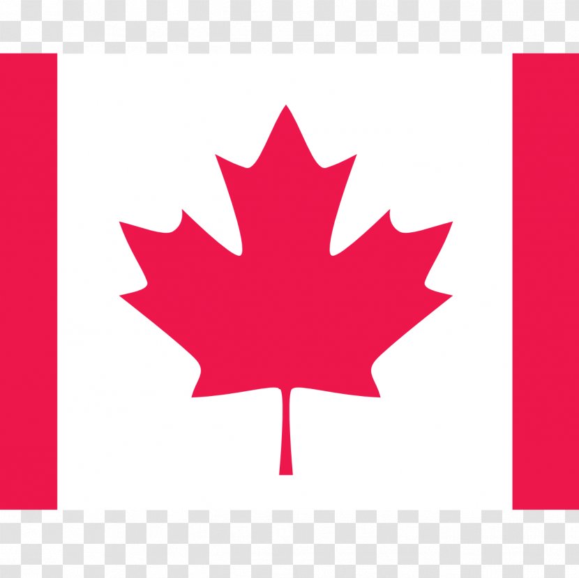 Canada United States American Express Jody Wilson-Raybould Americas - Tree Transparent PNG