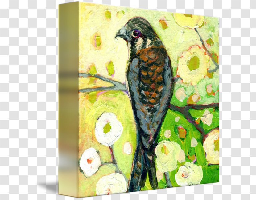 Watercolor Painting Art American Kestrel - Bird Transparent PNG