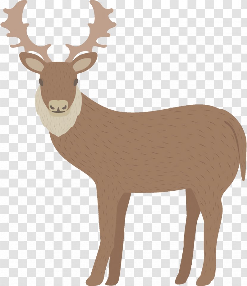 Reindeer Christmas - Antler Moose Transparent PNG