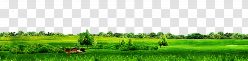 Biome Grassland Lawn Field Land Lot - Sky - Green Simple Grass Border Texture Transparent PNG