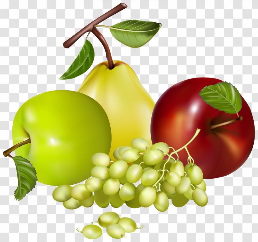 Fruit Clip Art - Food - Dry Transparent PNG