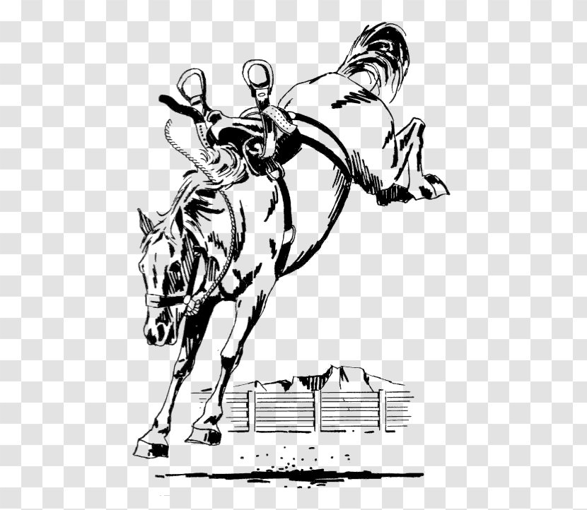 American Saddlebred Friesian Horse Stallion Bucking Bronc Riding - Line Art - Scott Buck Transparent PNG