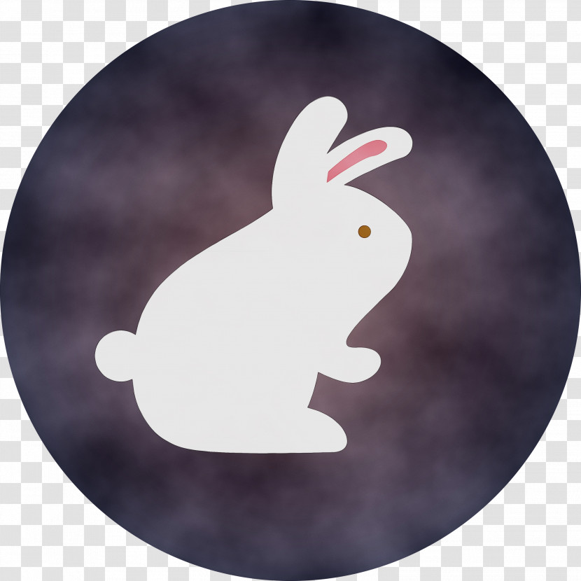 Rabbit Hares Transparent PNG