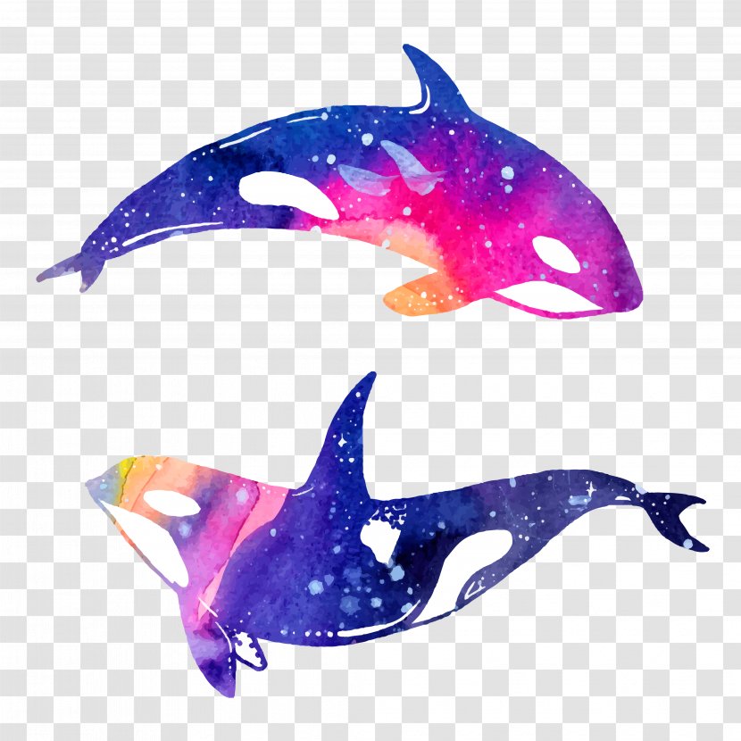 Dolphin Watercolor Painting Illustration - Whales Dolphins And Porpoises - Hand Painted Whale Transparent PNG