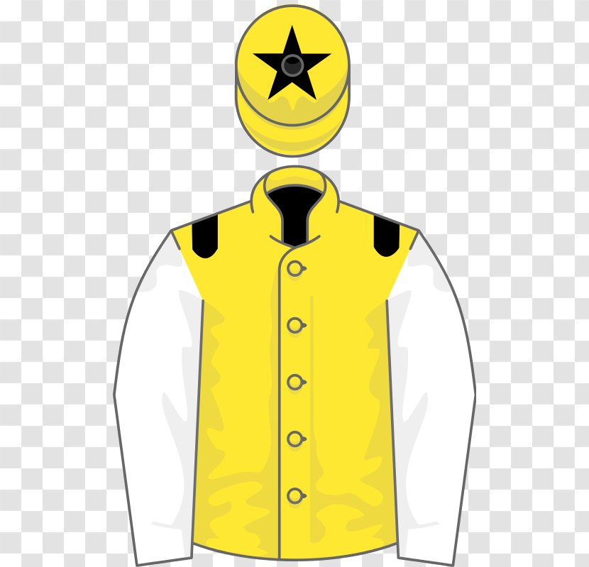 Thoroughbred Horse Racing Champion Hurdle - Brian Taylor - Outerwear Transparent PNG