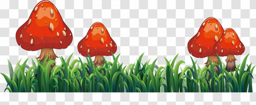 Flower Euclidean Vector Clip Art - Grass - Red Mushroom Transparent PNG