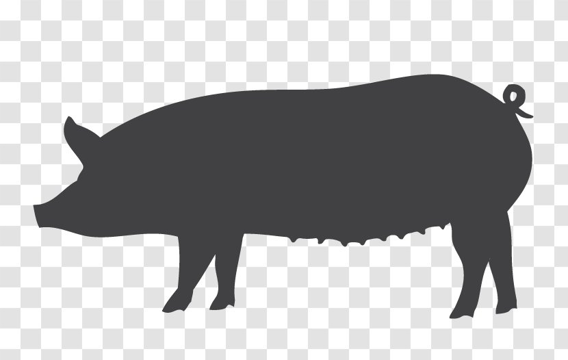 Domestic Pig Spare Ribs Cut Of Pork Ham Bacon - Mammal Transparent PNG