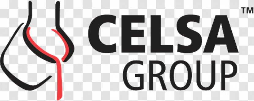 Logo CELSA Group Product Province Of Barcelona Steel - Rolling - Presentacion Para Ingenieros Transparent PNG