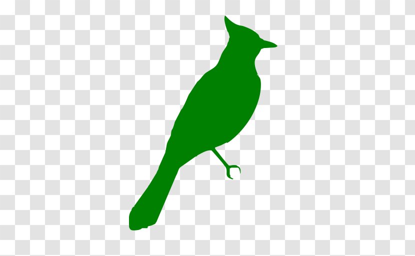 Beak Green Fauna Wildlife Clip Art - Branch - Idiom Transparent PNG