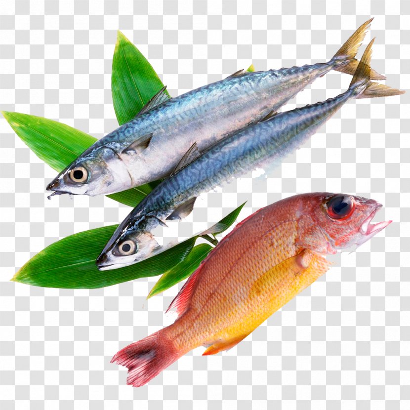 Fish Frozen Food Meat Milanesa - Shishamo - Fresh Seafood Transparent PNG