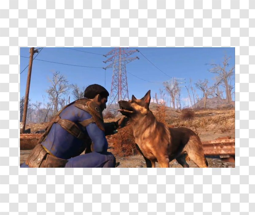 German Shepherd Australian Cattle Dog Fallout 4 Breed - Video Game - 15 Resurrection Transparent PNG