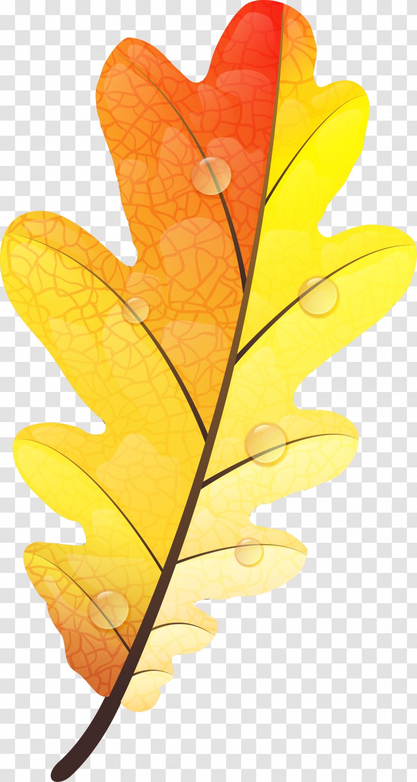 Autumn Leaf Color Yellow - Leaves Transparent PNG