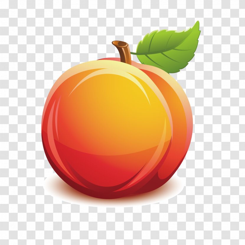 Nectarine Fruit Clip Art - Juicer - Delicious Peaches Transparent PNG