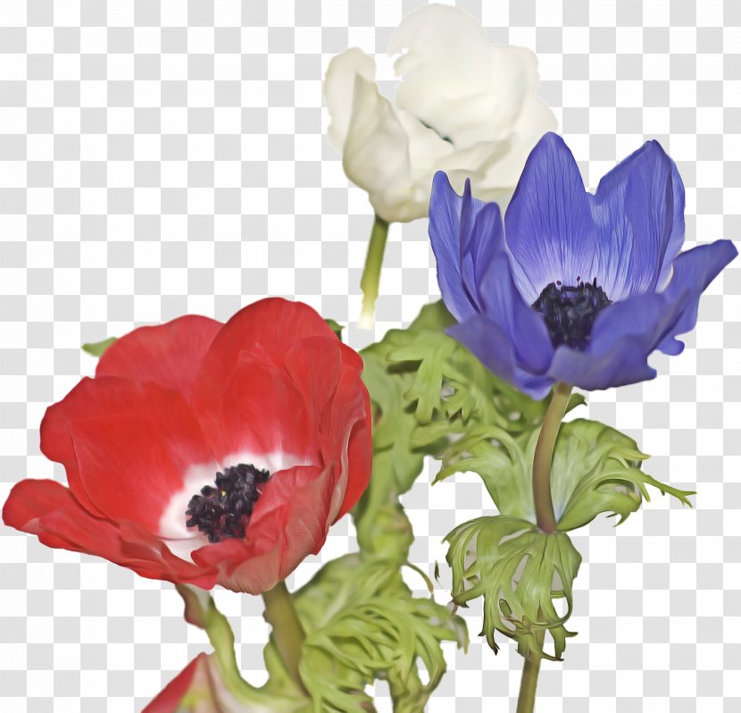 Purple Watercolor Flower - Plant - Wildflower Tulip Transparent PNG