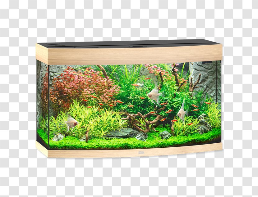 Aquarium Juwel Modell Rio 180 Led Akvarie L Med Led-armatur JUWEL 240 LED Cabinet Vision - Flower - Light Transparent PNG