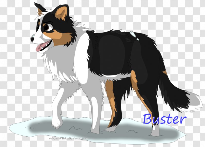 Dog Breed Border Collie Rough Snout Fur - Like Mammal - Mirlo Transparent PNG