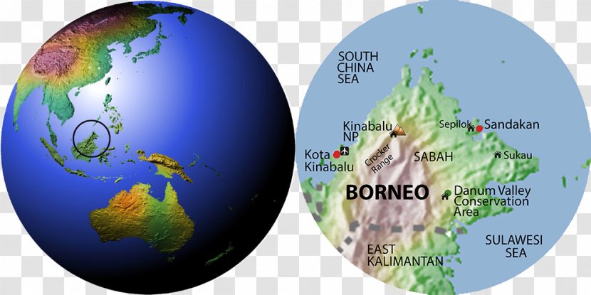 Globe World Map Earth Sphere Transparent PNG