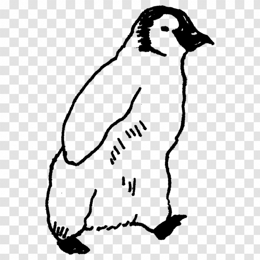 Penguins Birds Flightless Bird Dog Beak Transparent PNG